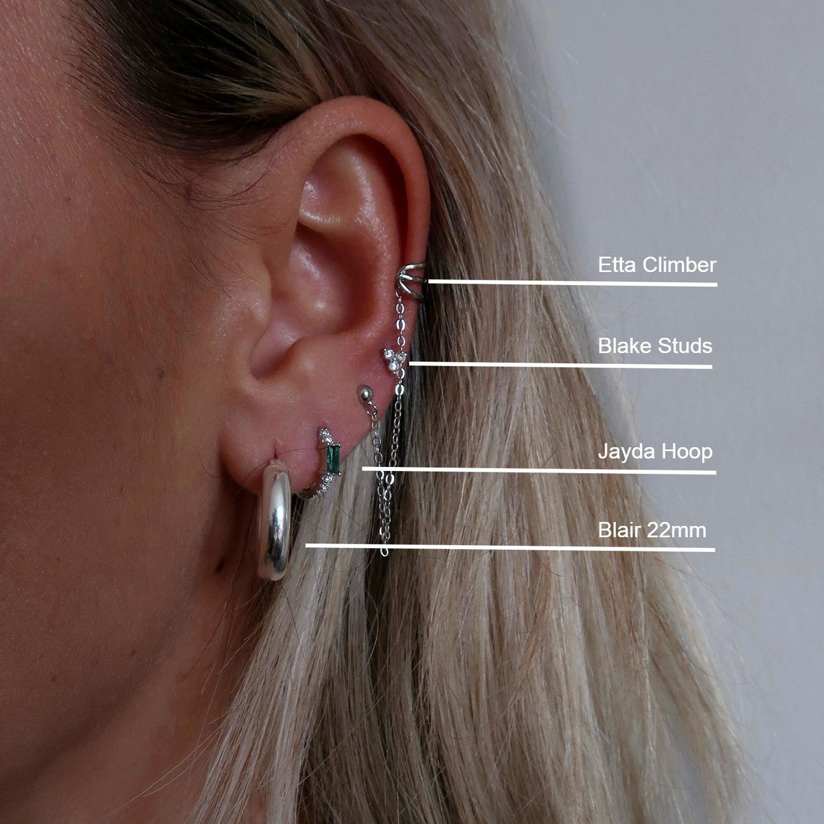 Puces d'oreilles Blake, photo 4